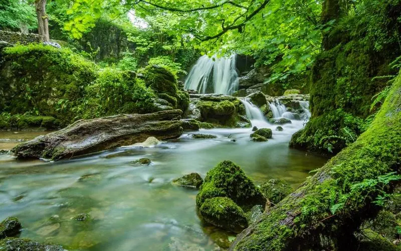 可靠性节能高端